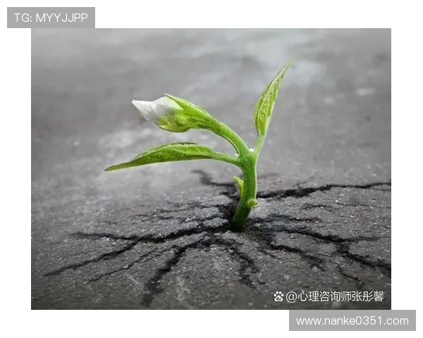 齐沃:责任感驱动工作前行 过往经历激发更多奋斗动力 齐沃:责任感驱动工作前行 过往经历激发更多奋斗动力